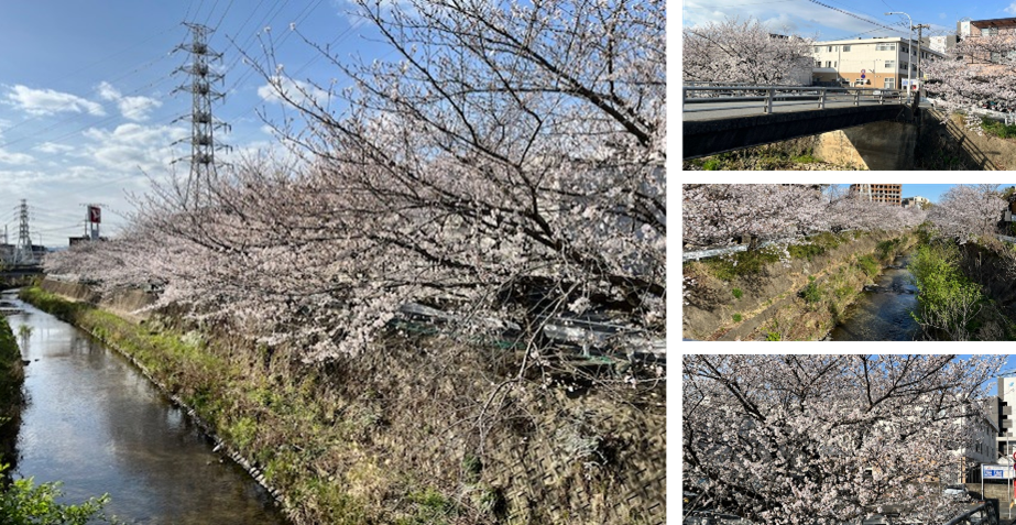 みどりの風長尾　4月