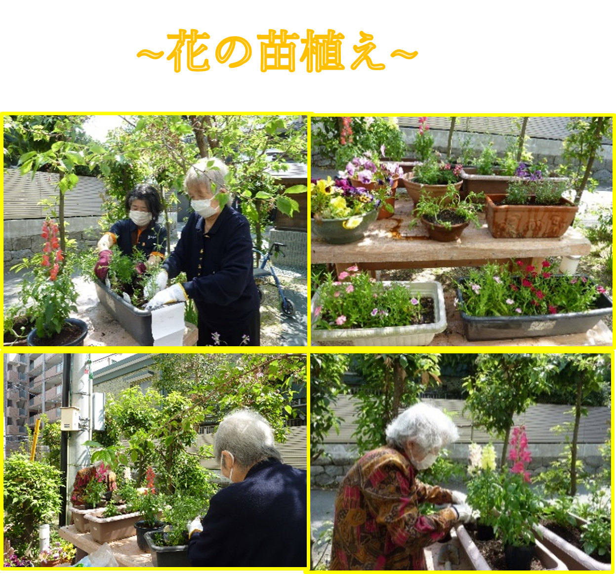 みどりの風二日市　花の田植え