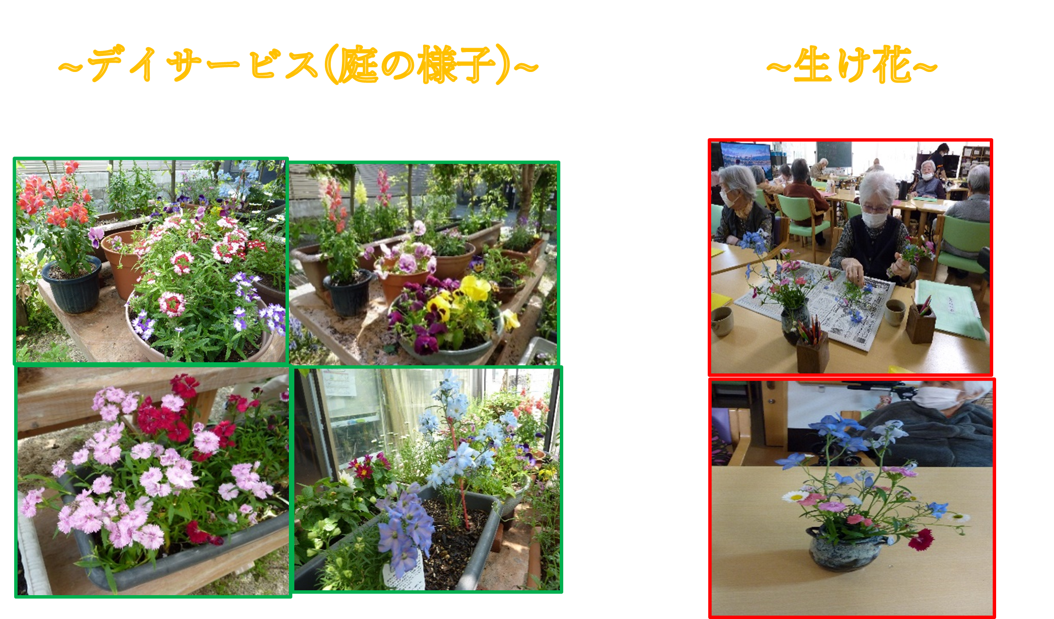 みどりの風二日市　デイサービスの様子