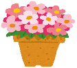 みどりの風二日市　花の田植え