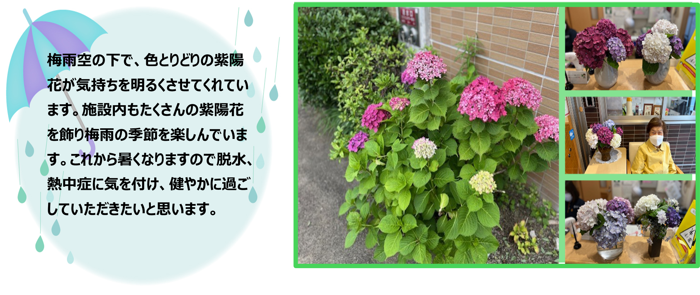 みどりの風長尾　６月