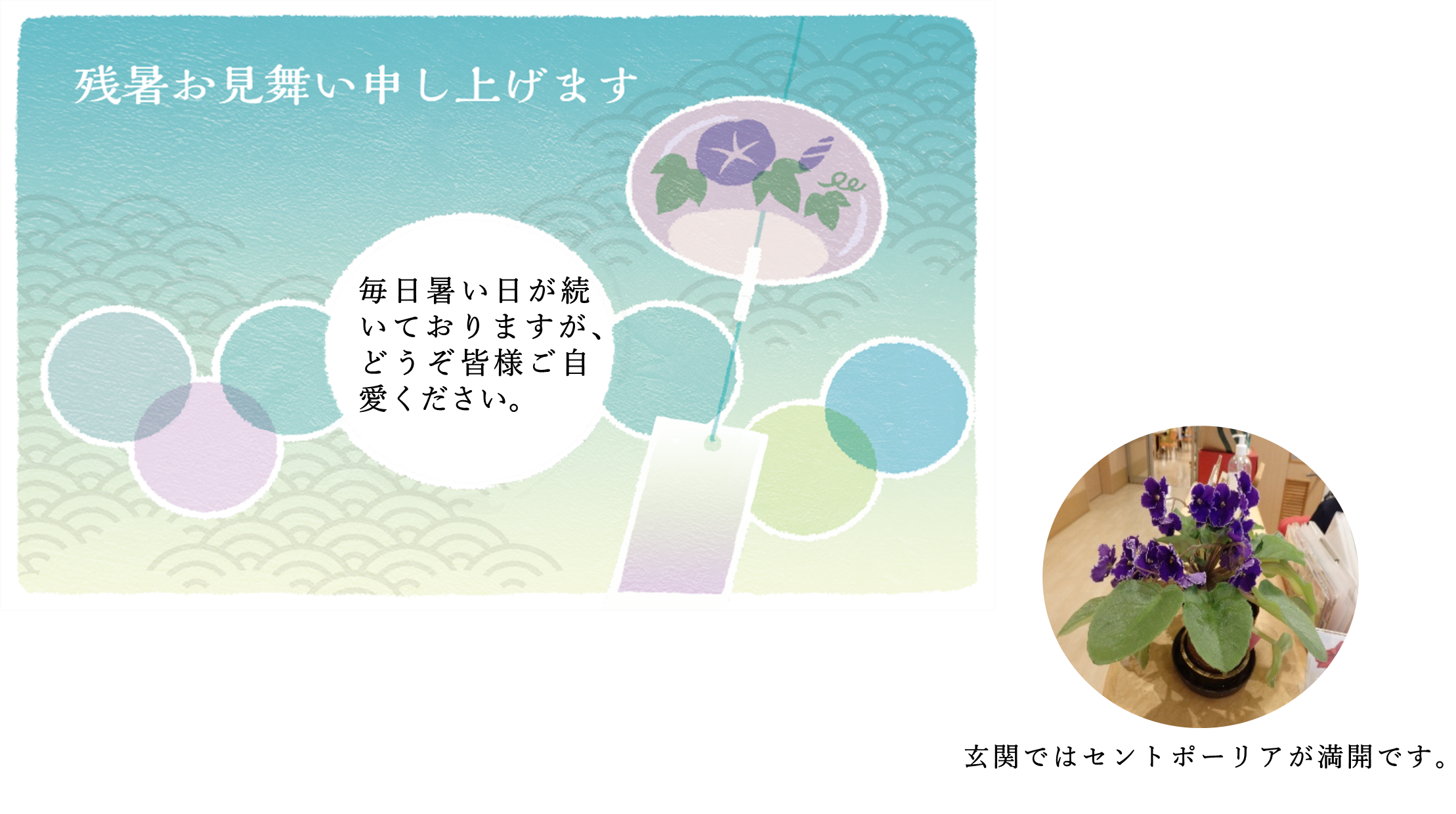 みどりの風長尾