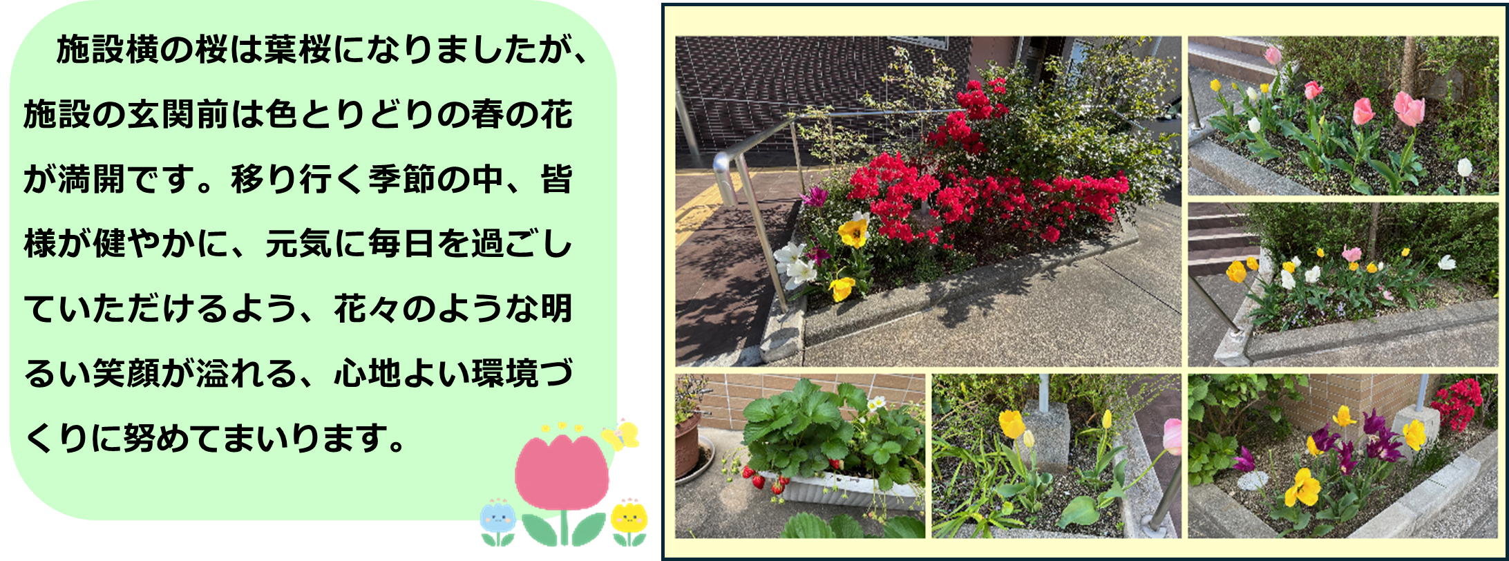 みどりの風長尾１